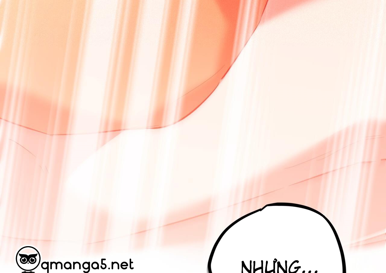 những chú thỏ của hapypy chapter 63 189