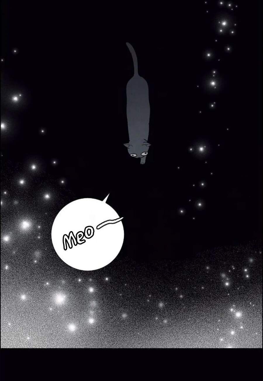 tôi đã cướp mất đêm đầu tiên của nam chính chapter 76.5 19