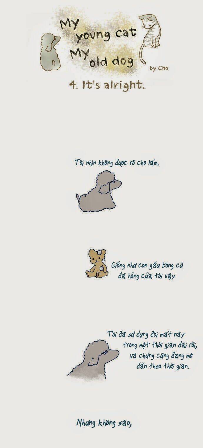 mèo con và chú chó già của tôi chapter 4 1