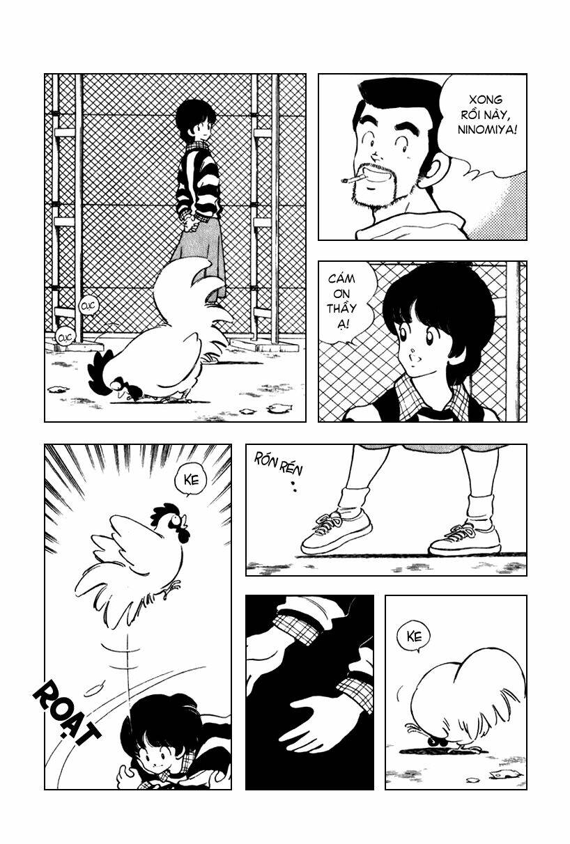 rough - ngọc thô chapter 32 4