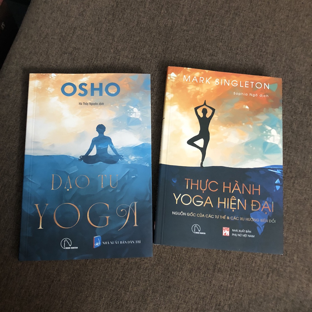 Bộ 2 cuốn: Đạo tu Yoga  + Thực hành Yoga hiện đại – Nguồn gốc các tư thế và các xu hướng biến đổi  - YOGA TỪ GÓC NHÌN HIỆN ĐẠI
