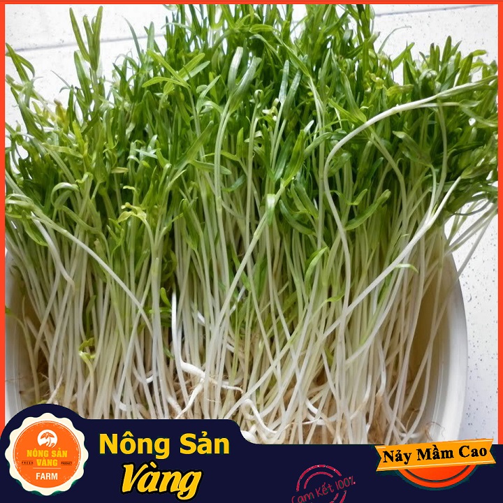 Hạt giống Rau Mầm Rau Muống ( Gói 100 Gram ) - Nông Sản Vàng