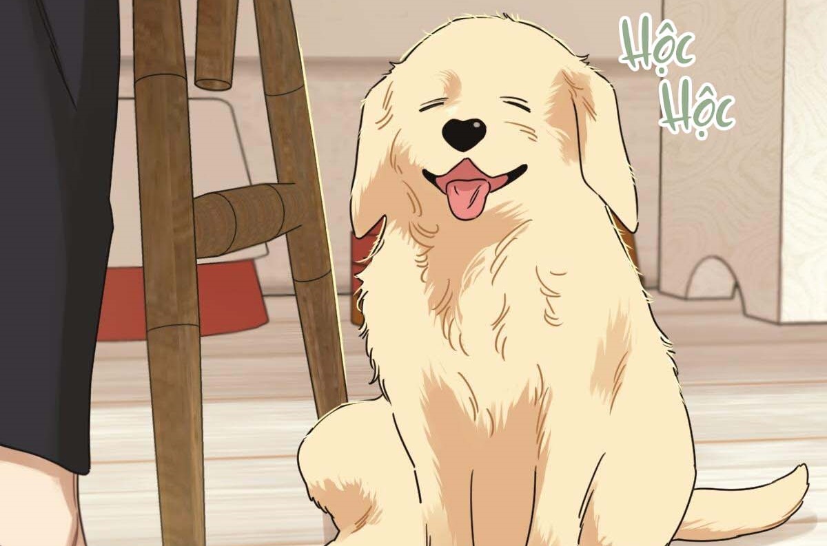 tương phùng chapter 27 99