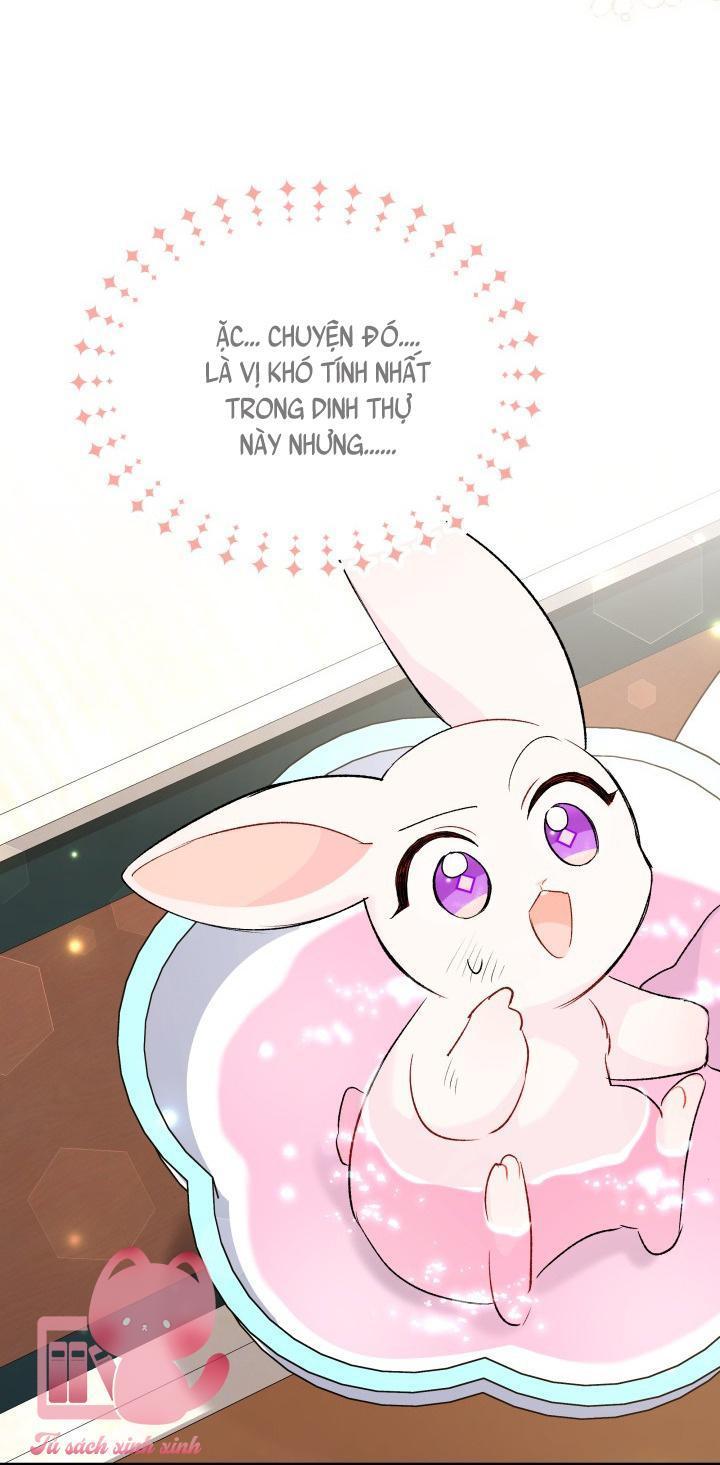 quan hệ cộng sinh giữa báo đen và thỏ trắng chapter 84 21