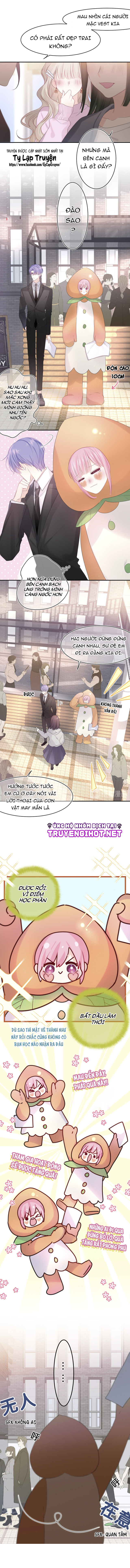 chào, đồng học thụ mộc chapter 12 4