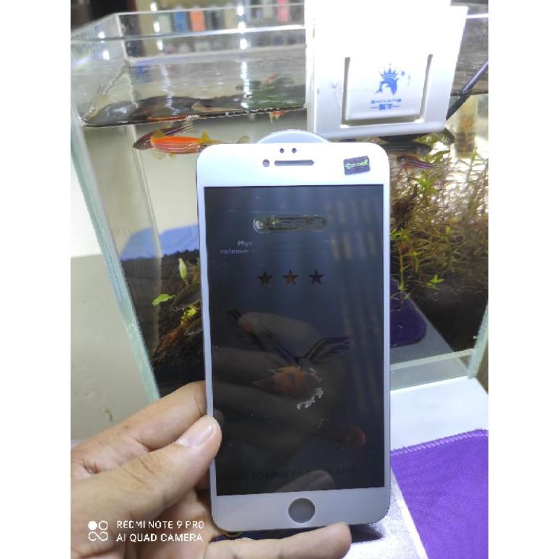 Kính chống nhìn trộm Full D