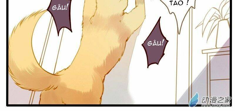 hằng mộng nam thần chapter 20 8