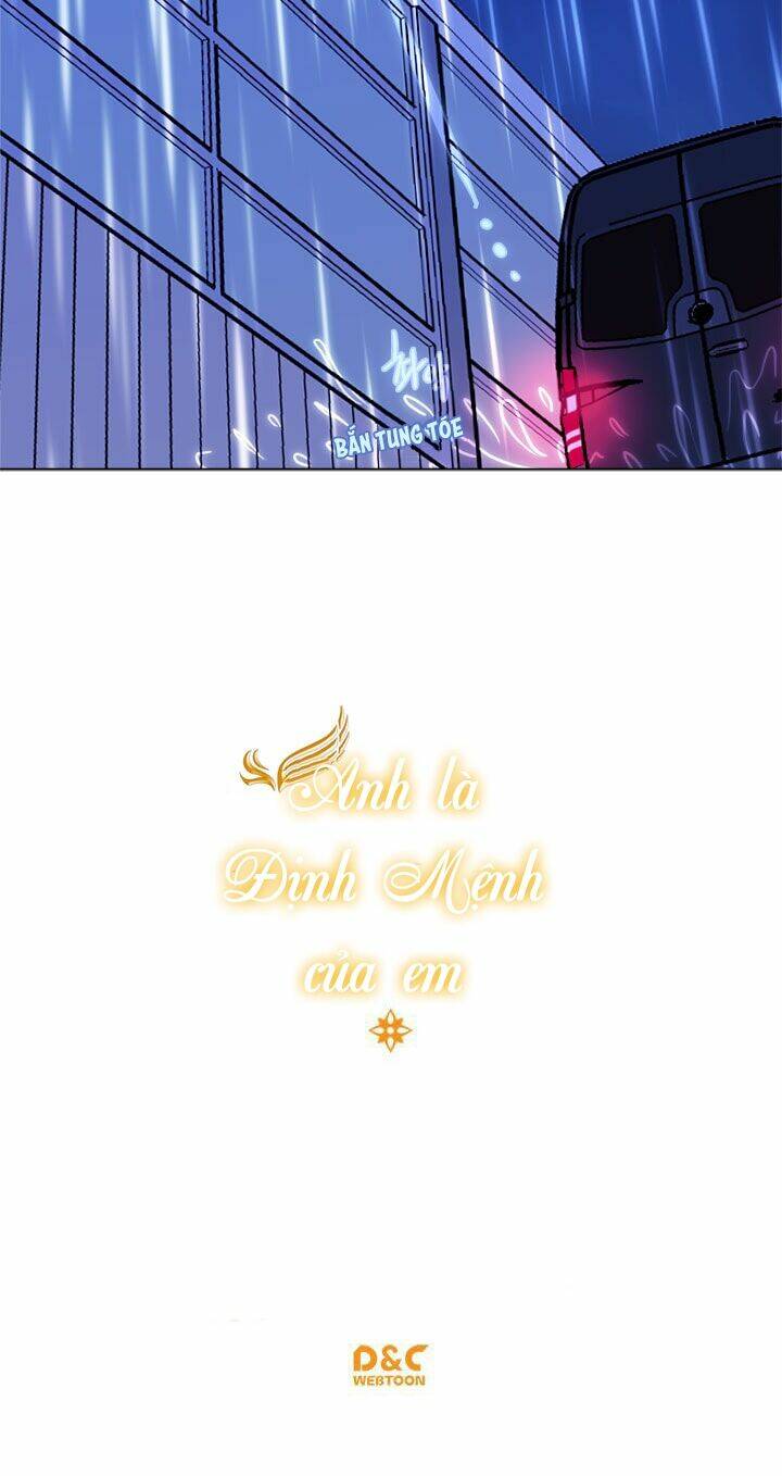 anh là định mệnh của em chapter 4 55