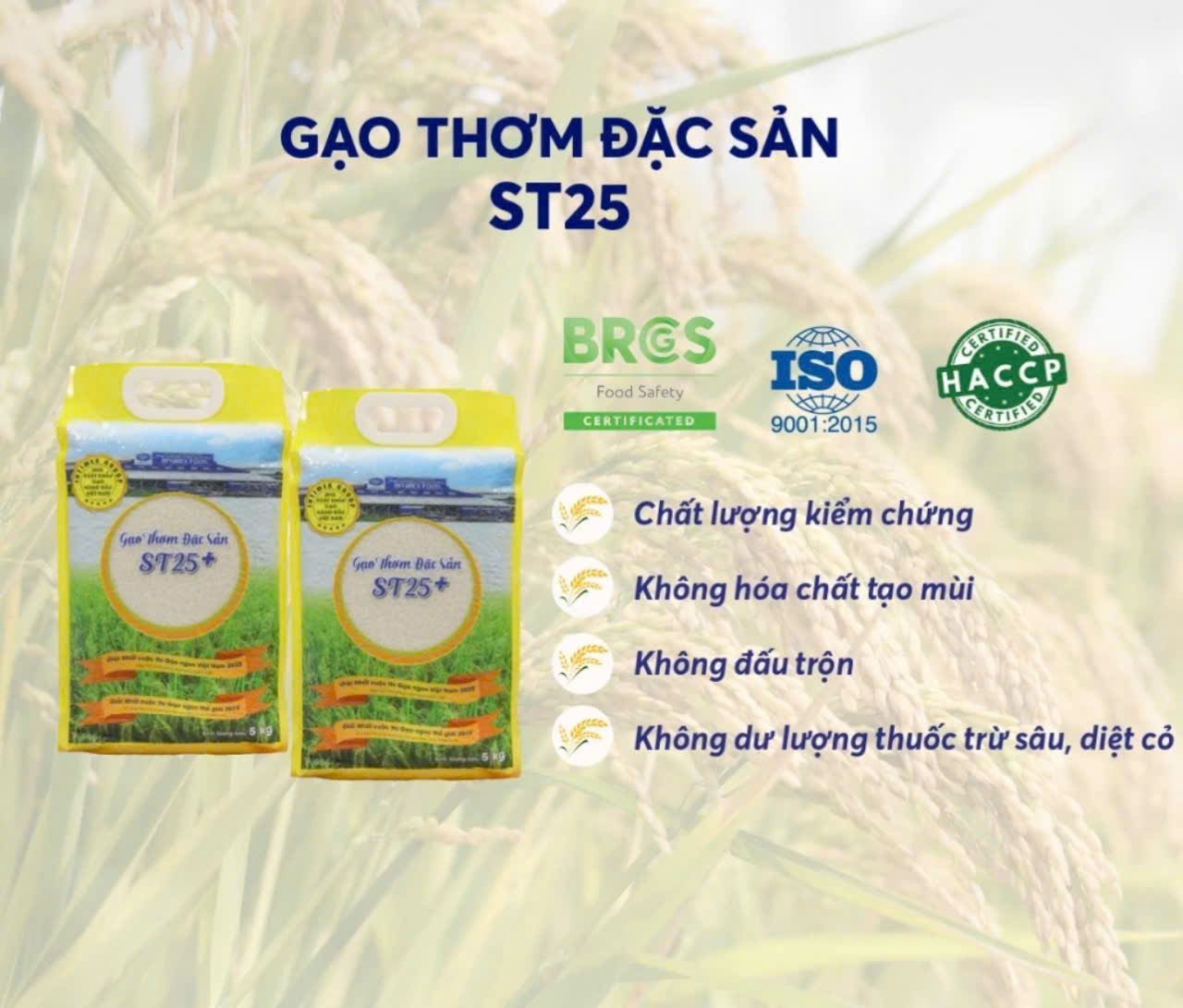Gạo thơm đặc sản ST25+ IntimexGroup túi 5kg