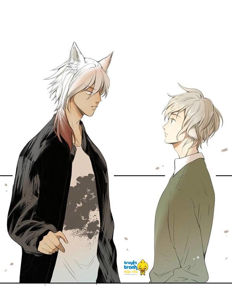 cứu mạng ! loài mèo thống trị thế giới rồi ! chapter 27 18