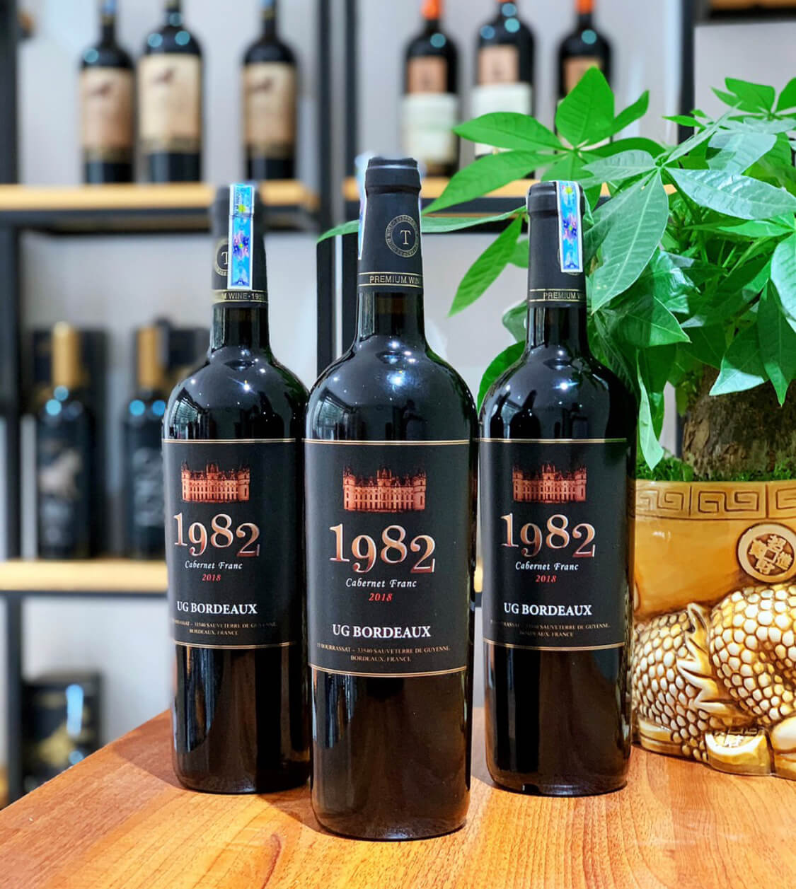 Rượu vang Pháp 1982 UG Bordeaux 1.5 lít