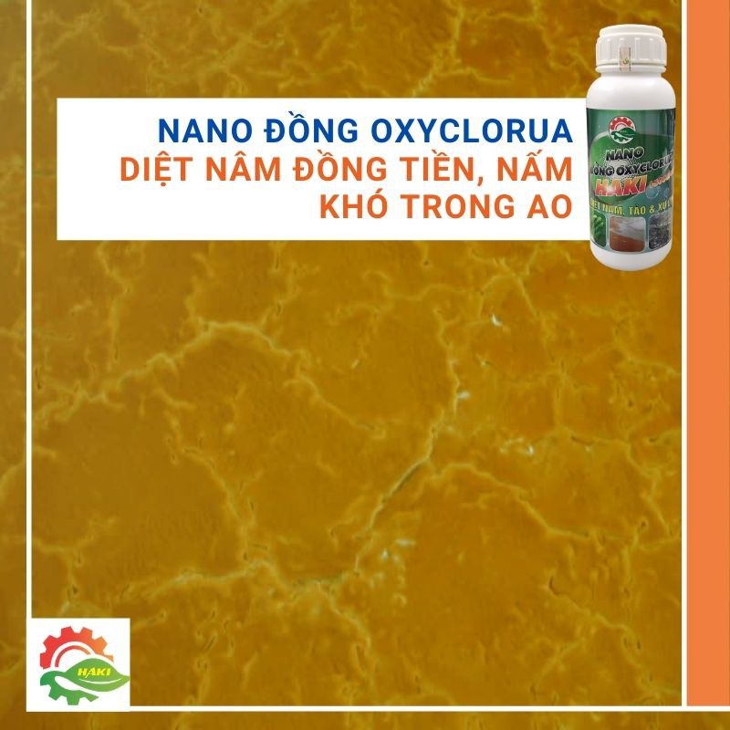 Nano đồng xử lý nước cho ao nuôi và bể cá cảnh . Chai 500ml nano đồng oxyclorua Haki chuyên diệt nấm, diệt rêu, cắt tảo, xử lý nước