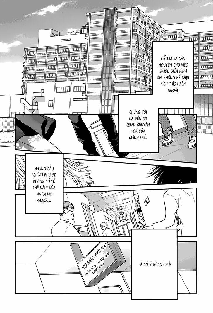 nekoka danshi no shitsukekata chapter 13 3