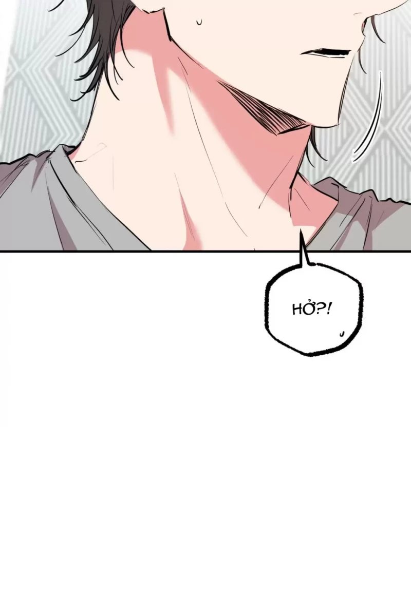 những chú thỏ của hapypy chapter 31.5 26