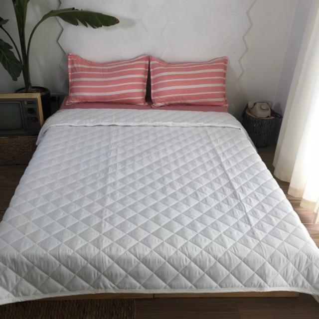 RUỘT CHĂN HÈ TRẮNG BÔNG TẤM TRẮNG COTTON SIÊU NHẸ KÍCH THƯỚC 1M9-2M1