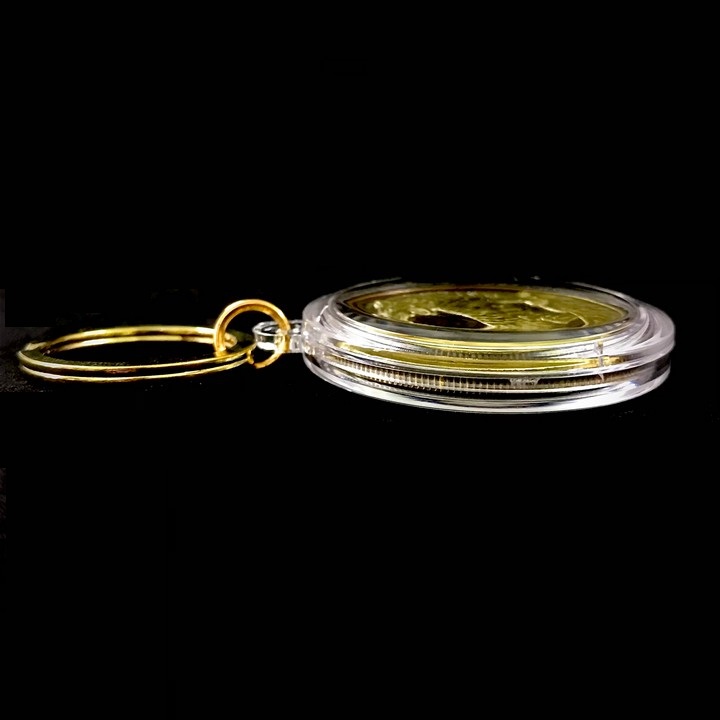 Móc Khóa Cặp Xu Úc Hình Con Cọp (Hổ) Mạ Vàng Bạc, Dùng để trang trí chìa khóa, làm quà tặng dịp Lễ, Tết, kích thước 5cm, màu vàng và bạc - TMT Collection - SP005415