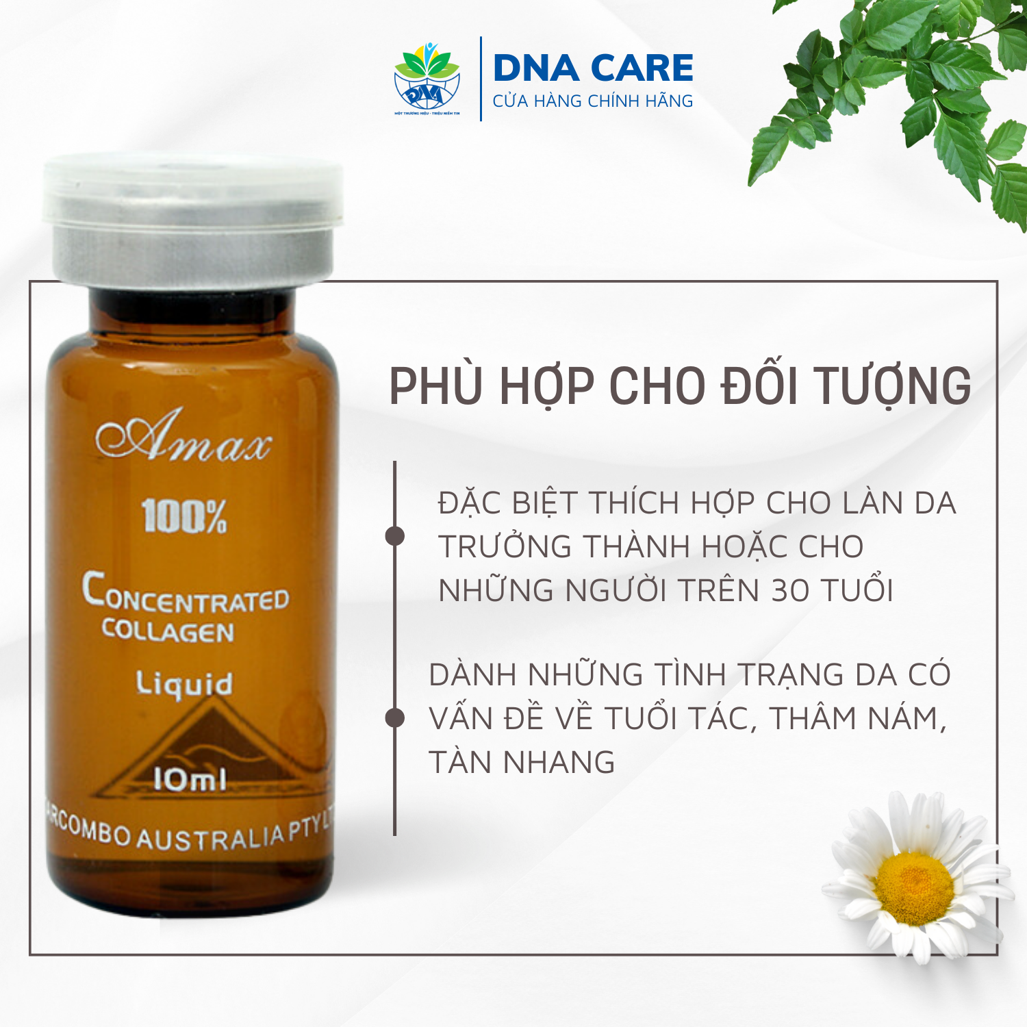 Tinh chất dưỡng da mặt từ tế bào gốc Amax combo 3 lọ 10ml 1 hộp