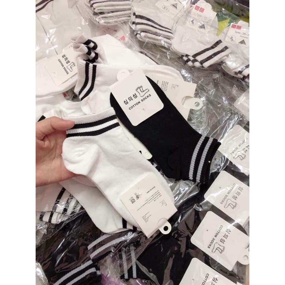 Tất cổ ngắn nữ cotton kiểu Hàn Quốc co giãn kháng khuẩn -TN14