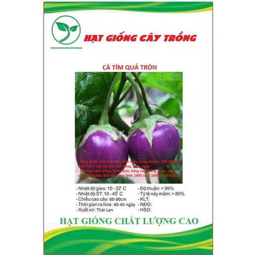 Hạt giống cà bát tím quả tròn CT263 - Gói 0.5gram