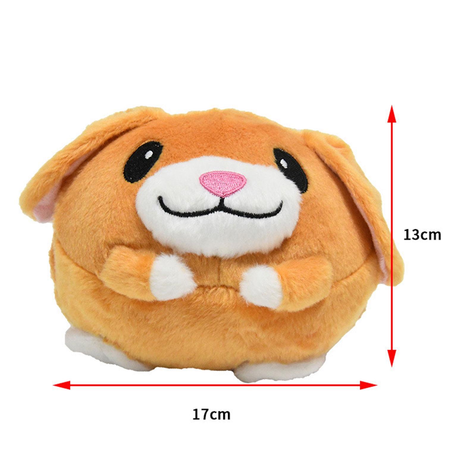 Interactive Cat Toy Training Cat Toys for Indoor Cats Exercise Entertainment