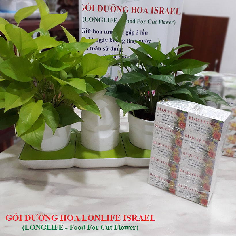 Bột Cắm Hoa Tươi Lâu Longlife Của Israel (Bộ 10 hộp – 100 gói)