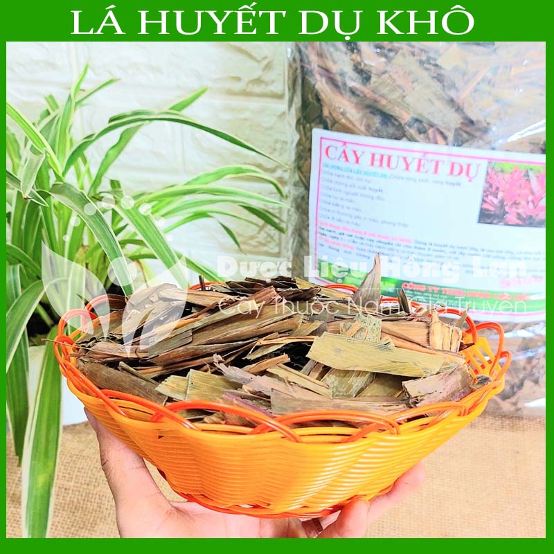 Cây huyết dụ khô sạch đóng gói 500gram