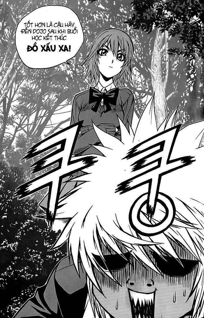 zippy ziggy chapter 15 8