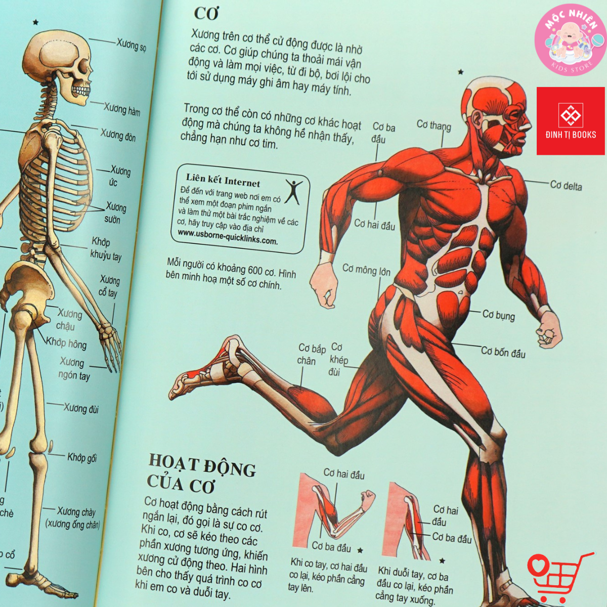 Sách thiếu nhi - Bách khoa tri thức dành cho trẻ em  - Tái bản 2022 - Đinh Tị Books
