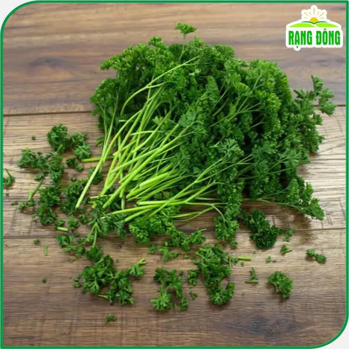 Hạt giống Rau Ngò Tây (parsley), Mùi Thơm Dễ Chịu, Dễ Trồng, Sinh Trưởng Tốt, gói 2gram - Hạt giống Rạng Đông
