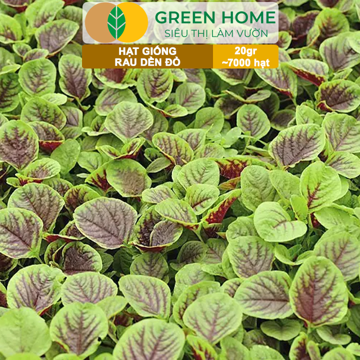 Hạt Giống Rau Dền Đỏ GreenHome, Gói 20gr~7000 hạt, Dễ Trồng Quanh Năm, Thu Hoạch Nhanh R24