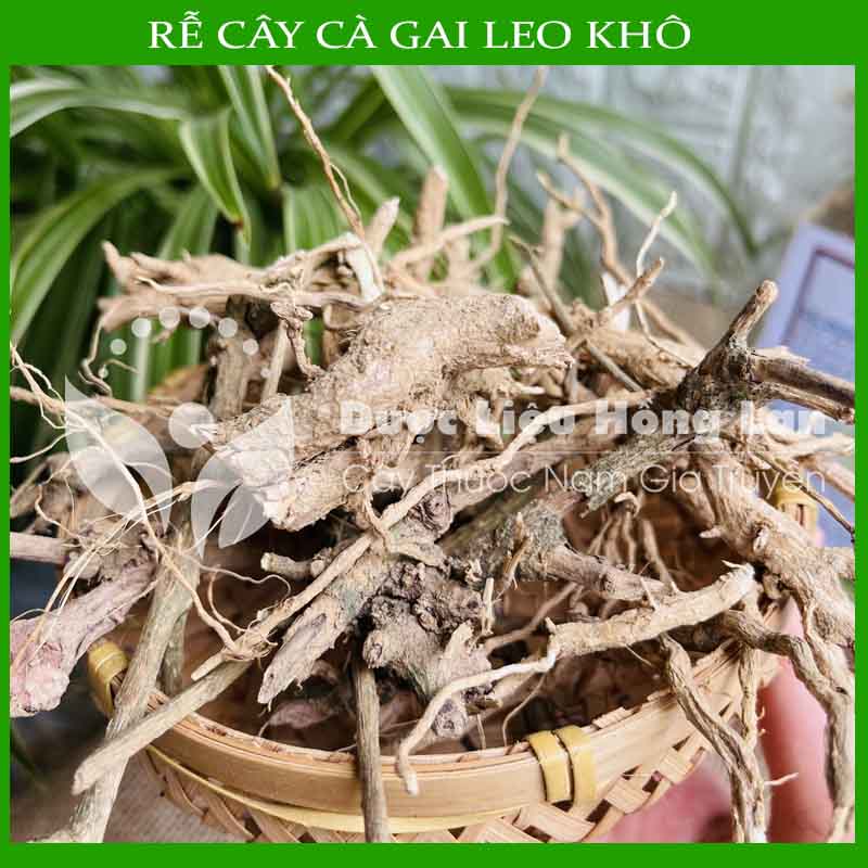 [THƯỢNG HẠNG] 500g Rễ Cây Cà Gai Leo sấy khô loại 1