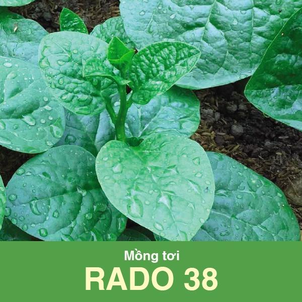 Hạt giống Mồng Tơi Lá To Rado 38 - 20gr - Rạng Đông Sinh trưởng phát triển mạnh. Cây lớn, lá tròn, to, phân nhánh mạnh