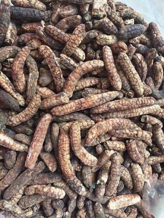 Chuối hột rừng gói 1kg