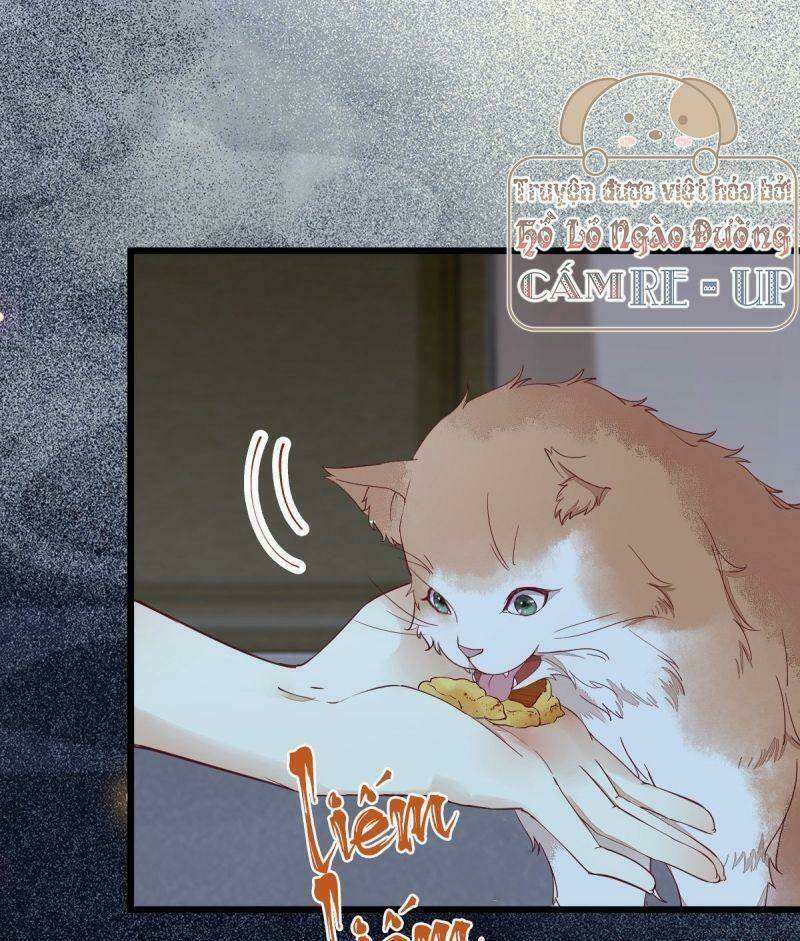 sát thủ vương phi không dễ chọc chapter 38 32