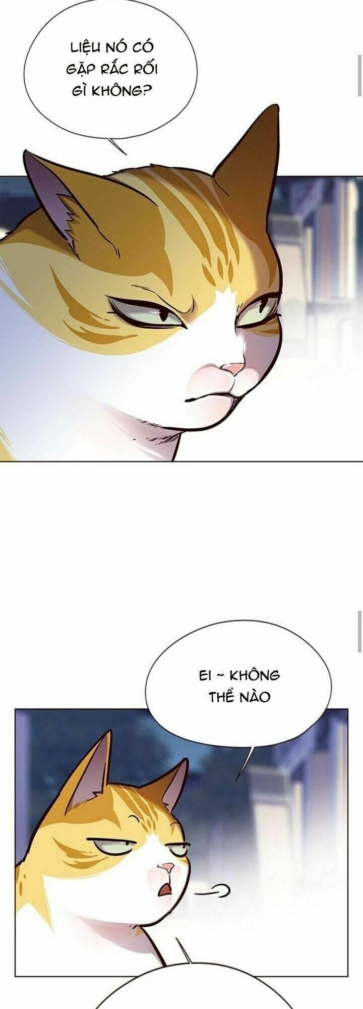 biến thân thành mèo chapter 125 66