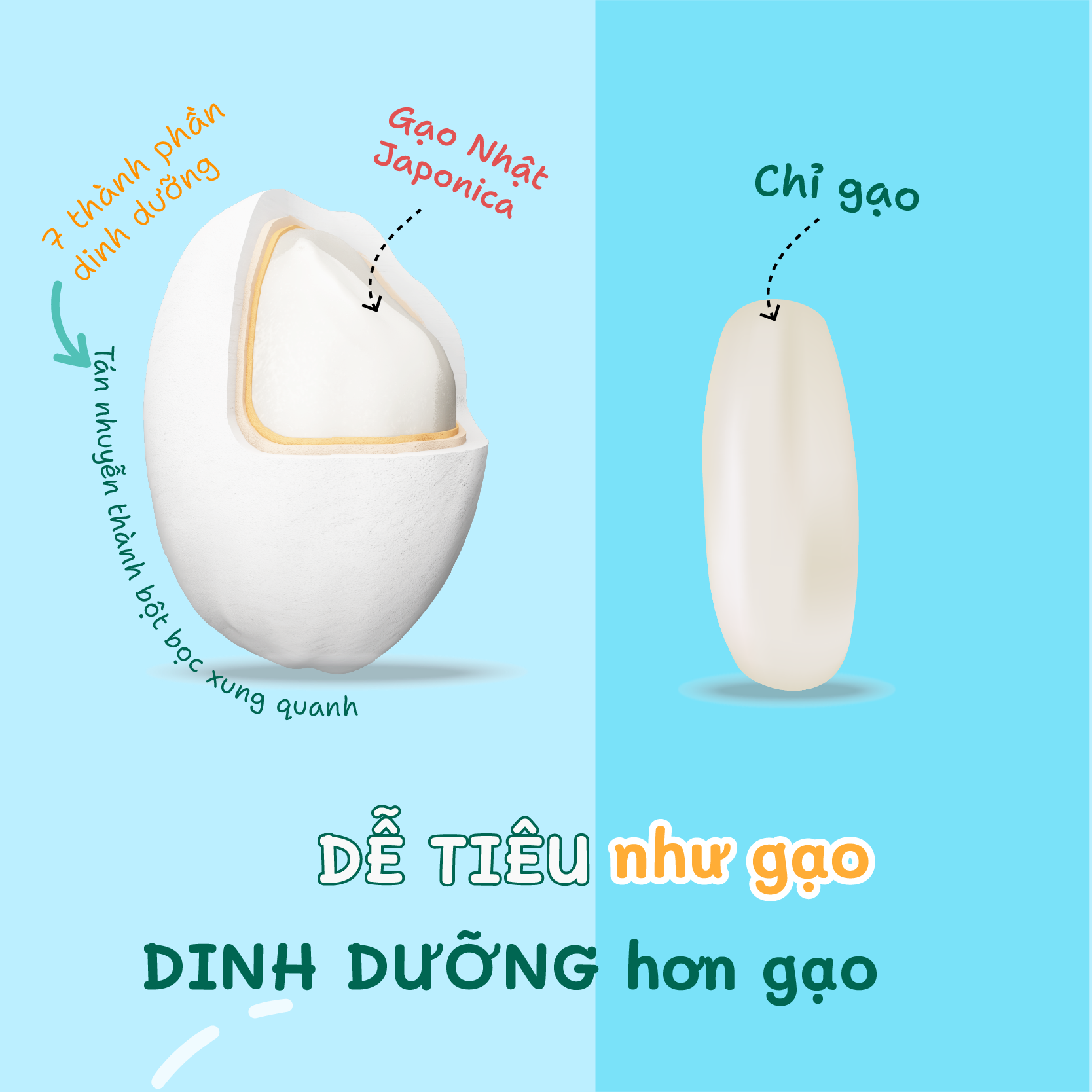 Cháo Ăn Dặm  Mabu Nguyên Hạt (900g)