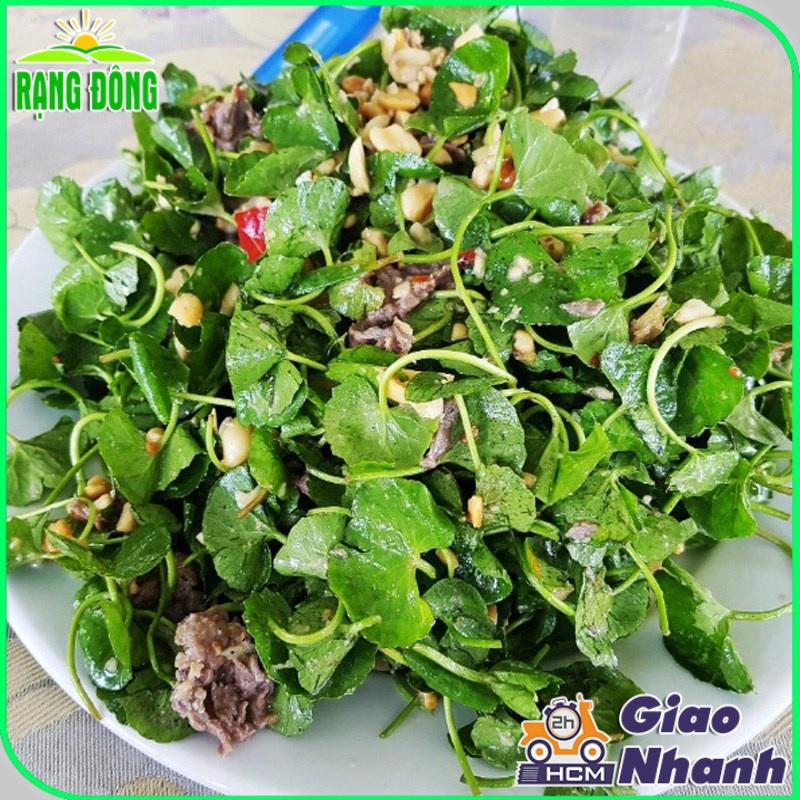 Hạt giống Rau Má Lá Lớn Rado 157 (1g~500 hạt) sinh trưởng khỏe, trồng quanh năm, năng suất cao - Hạt giống Rạng Đông