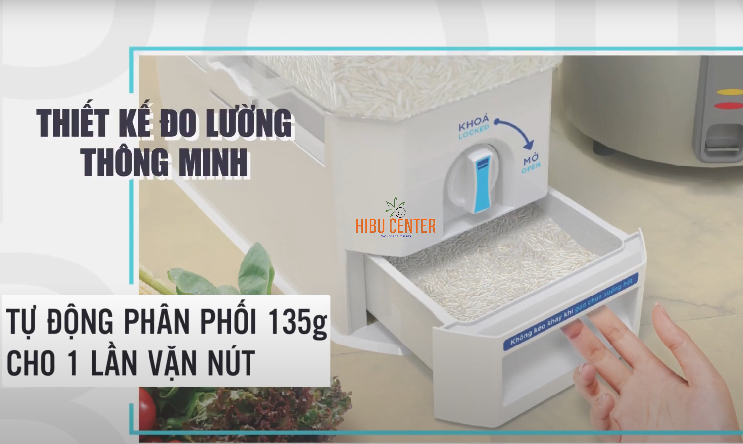 Thùng Gạo Clear Trong Suốt Thông Minh DUY TÂN 15Kg - 25Kg | Phù Hợp Mọi Gian Bếp, Nhỏ Gọn, Dễ Di Chuyển | Hibucenter