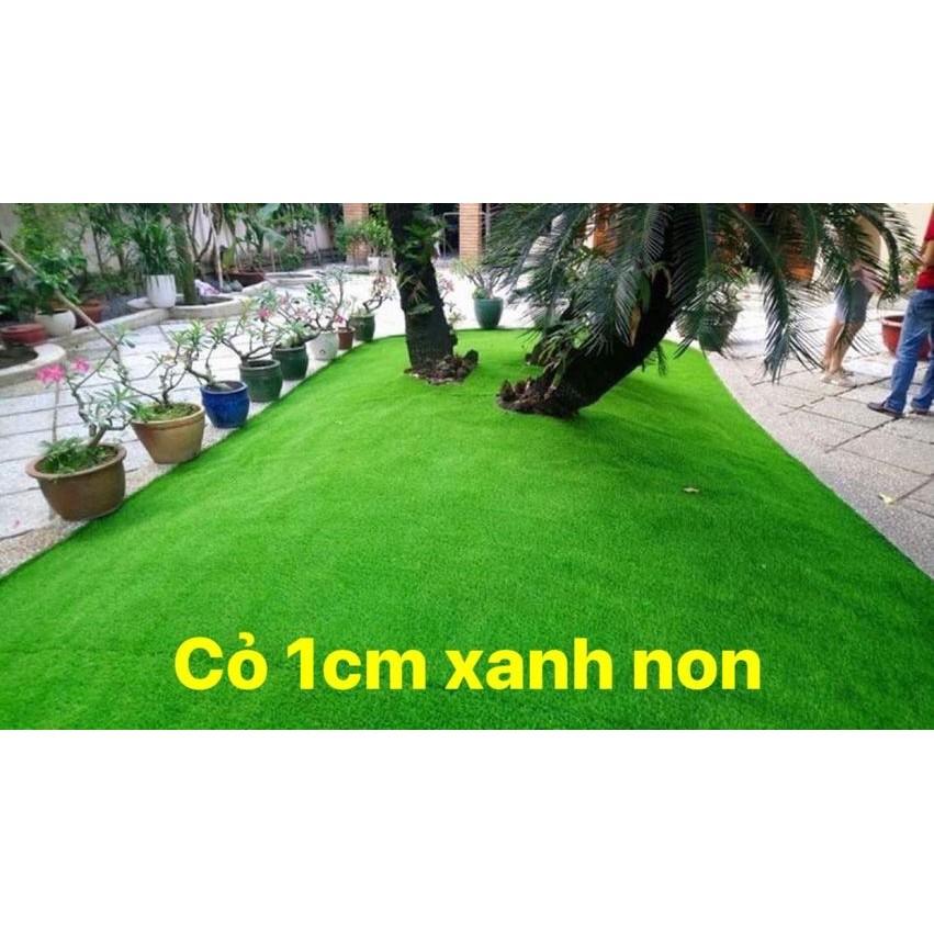 Cỏ nhân tạo sân vườn ,cỏ trải sàn 1cm xanh non loại tốt cắt liền rộng 2m x dài 5m