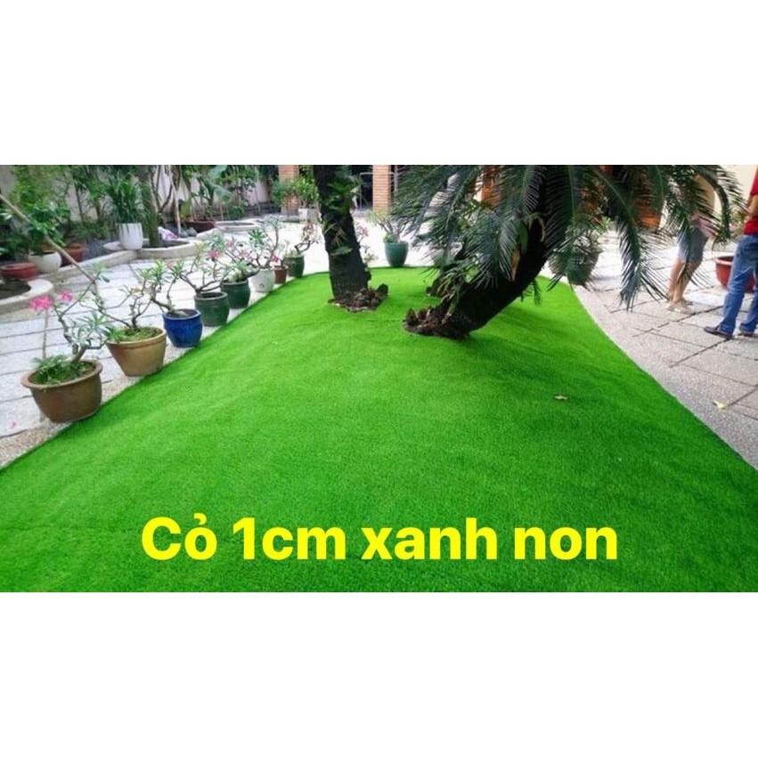 Cỏ nhân tạo sân vườn 1cm xanh non loại tốt com bo 10m2 cắt liền rộng 2m x dài 5m