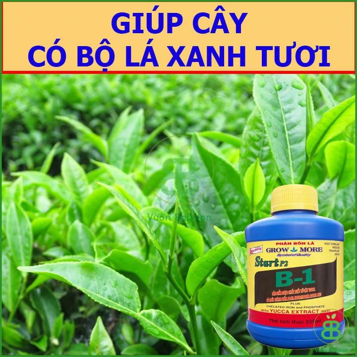 Phân Bón Lá Cao Cấp Vitamin B1 Start Của Growmore .