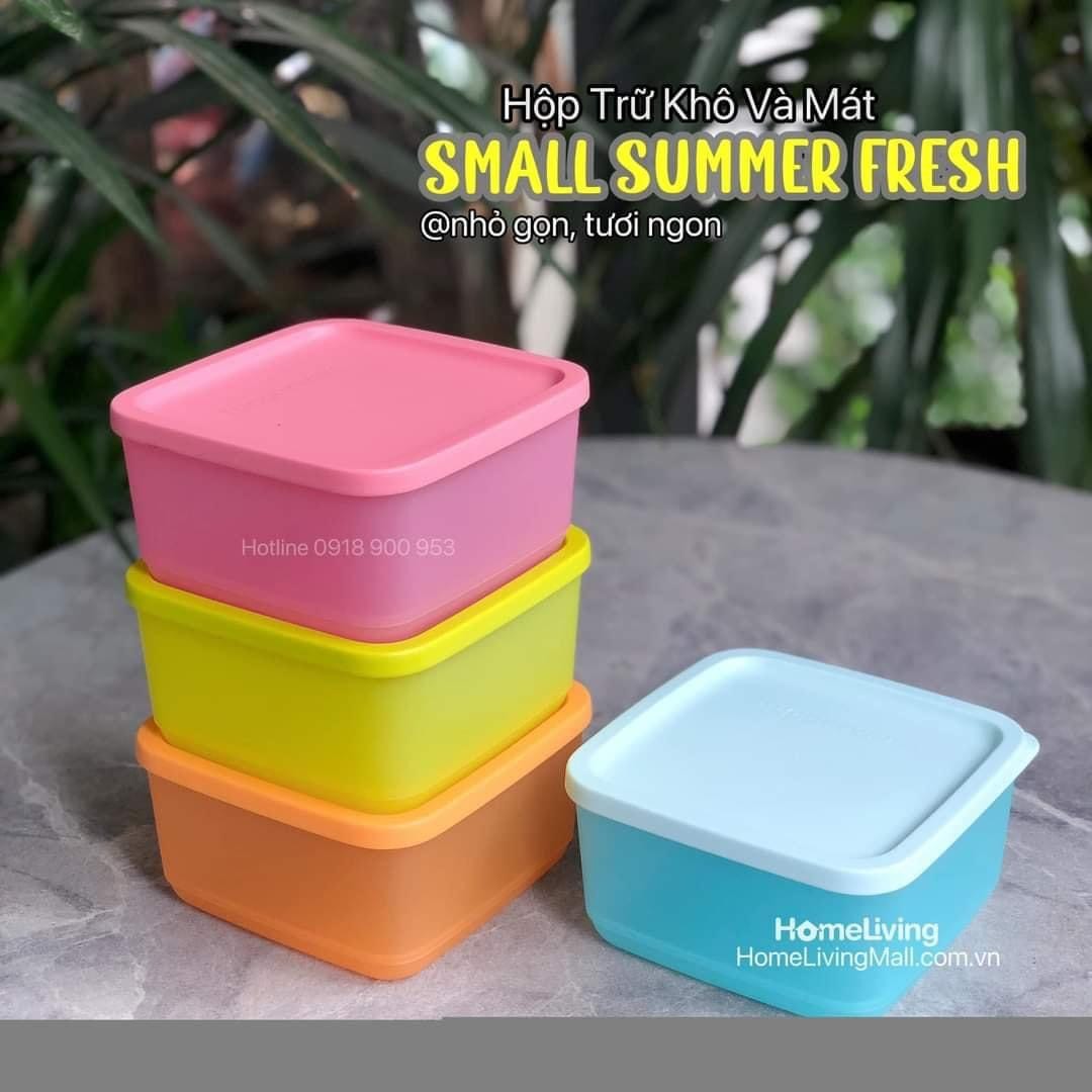 Bộ Hộp Bảo Quản Thực Phẩm Small Summer Fresh Bốn Hộp Tupperware, Hộp Trữ Khô, Nhựa Nguyên Sinh An Toàn