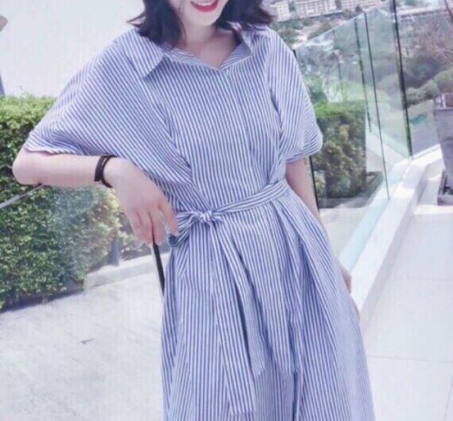 Đầm sọc sơ mi cột eo