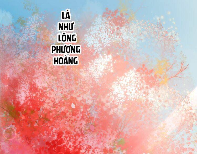 hoa nhan sách chapter 15.2 24