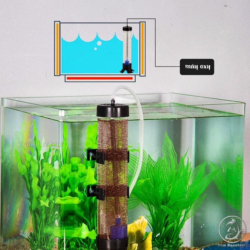 Lồng Ấp / Lò Ấp Trứng Artemia / Incubator for Brine Shrimp