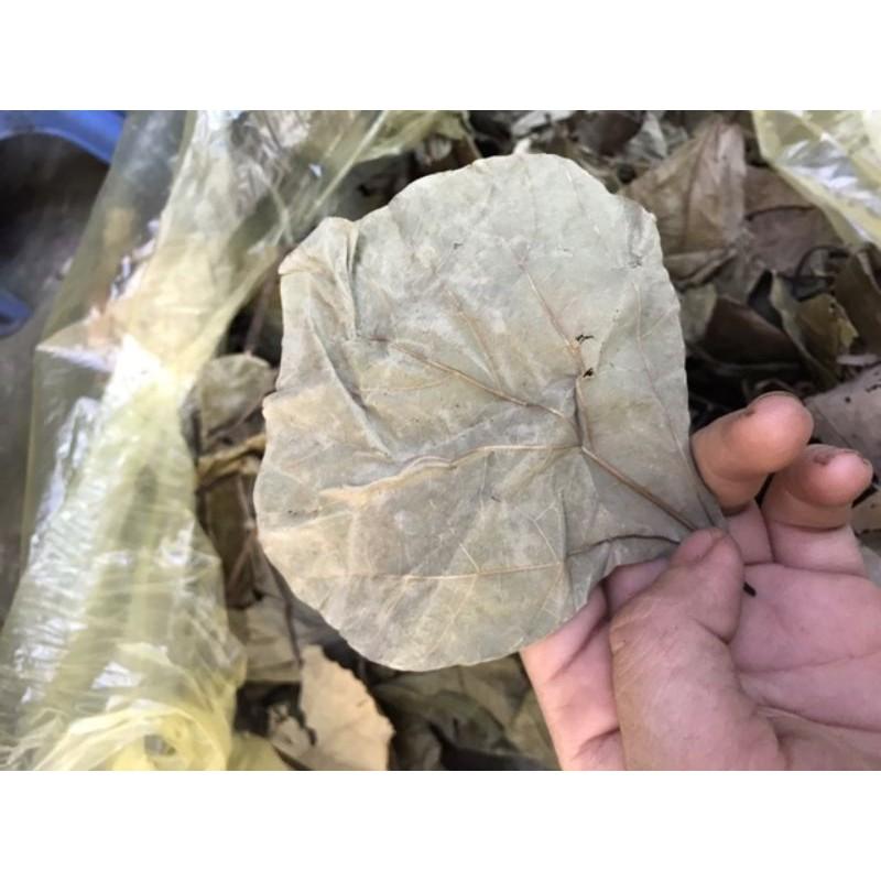 Lá Vông Nhà làm Tươi, Khô 1kg 681sp