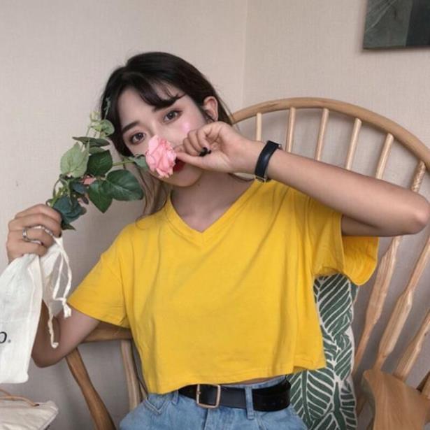 Áo croptop cổ V 4 màu (Có ảnh thật