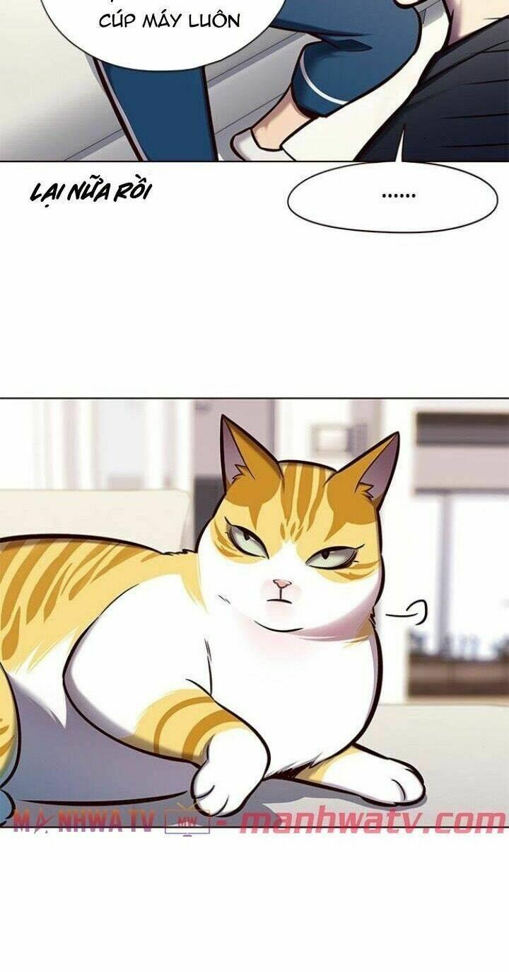 biến thân thành mèo chapter 124 17