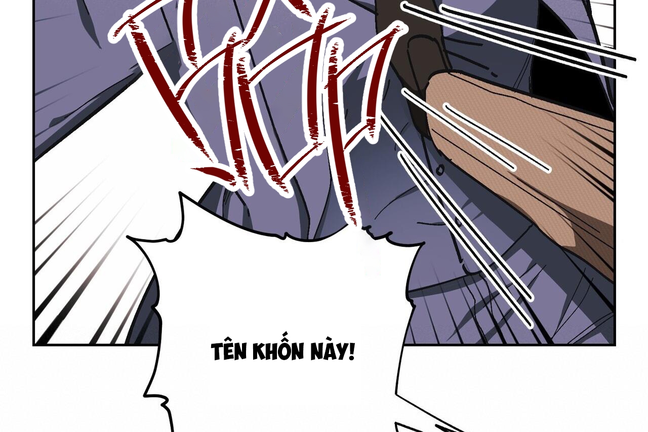 chàng dâu nhà họ kang chapter 31 48