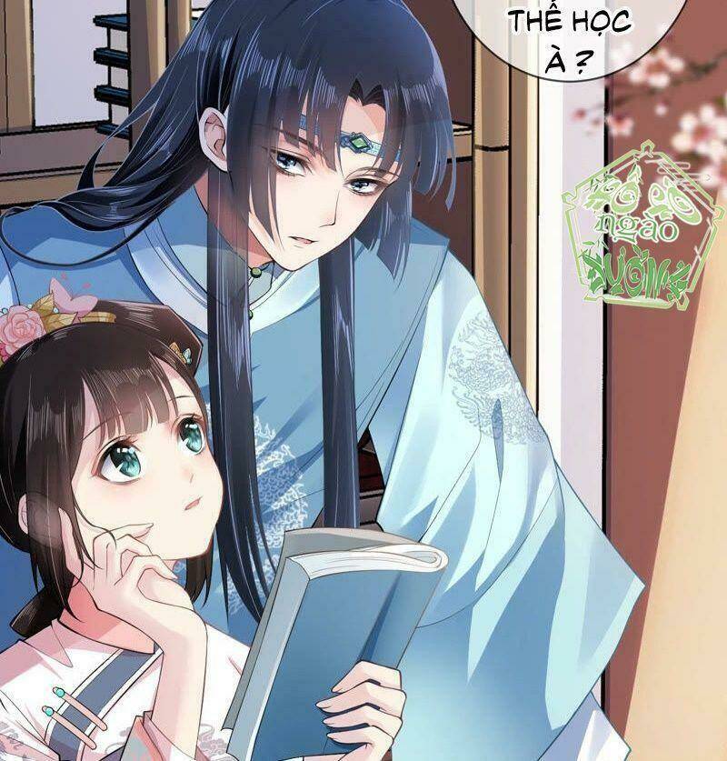 quận chúa vững vàng, thiết lập nhân vật không thể vỡ chapter 0 42